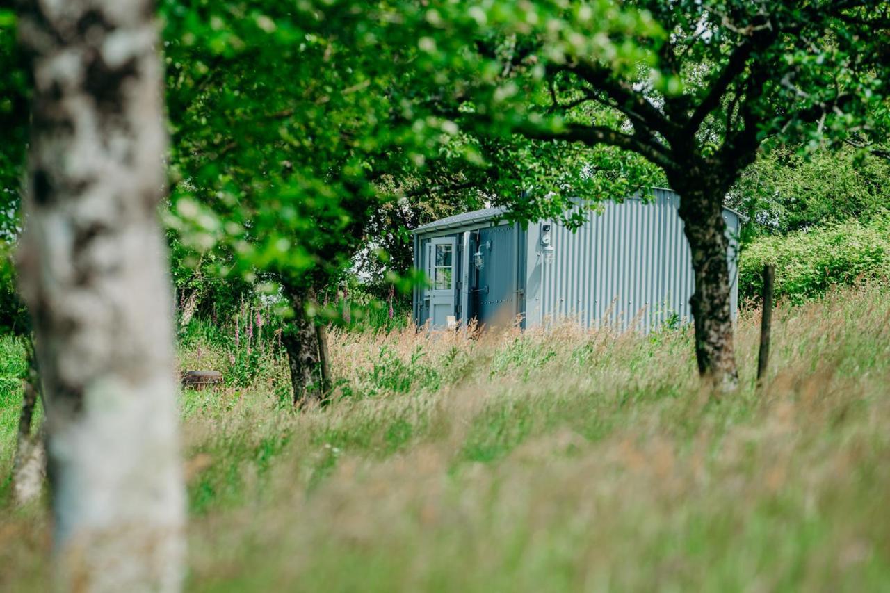 Blatchford Briar - Award Winning Private Shephards Huts With Their Own Secluded Hot Tubs Milton Abbot 外观 照片