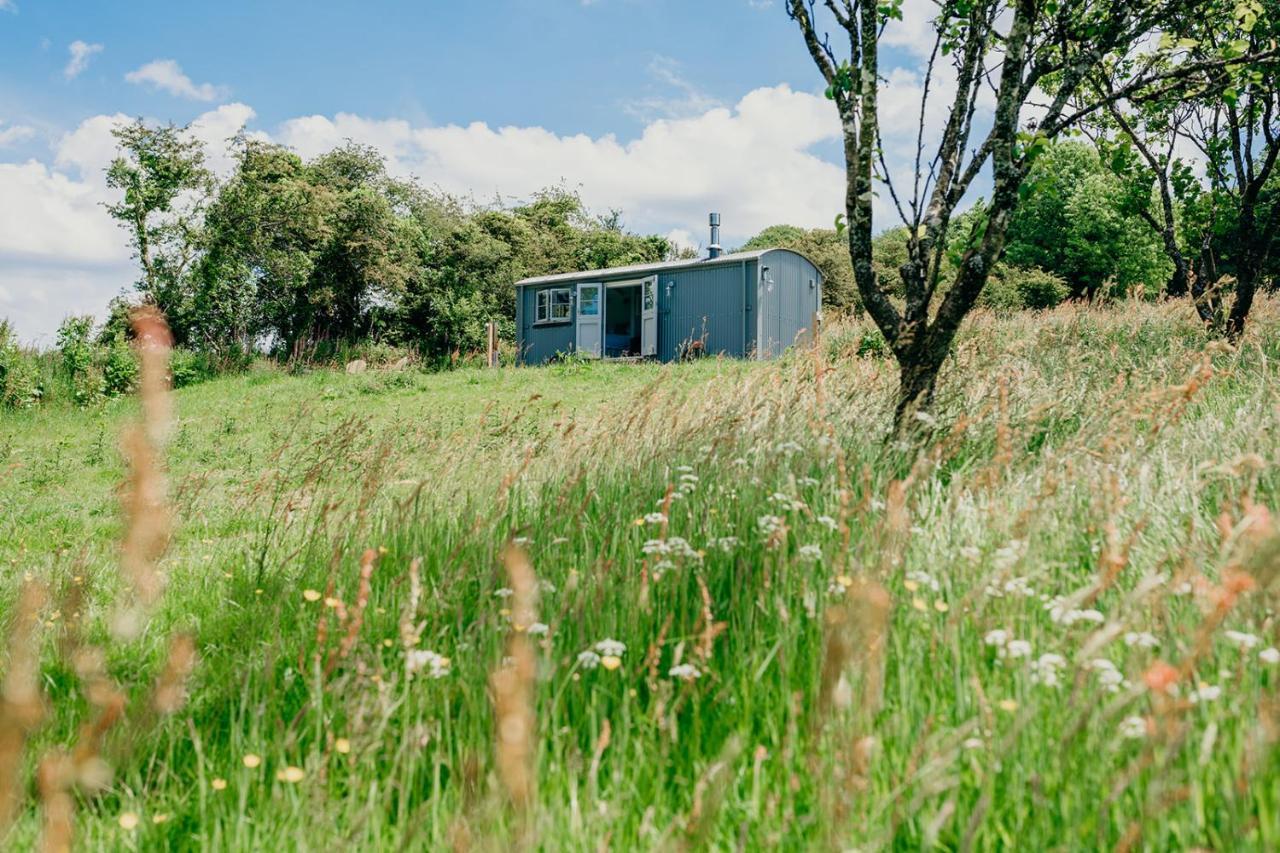 Blatchford Briar - Award Winning Private Shephards Huts With Their Own Secluded Hot Tubs Milton Abbot 外观 照片