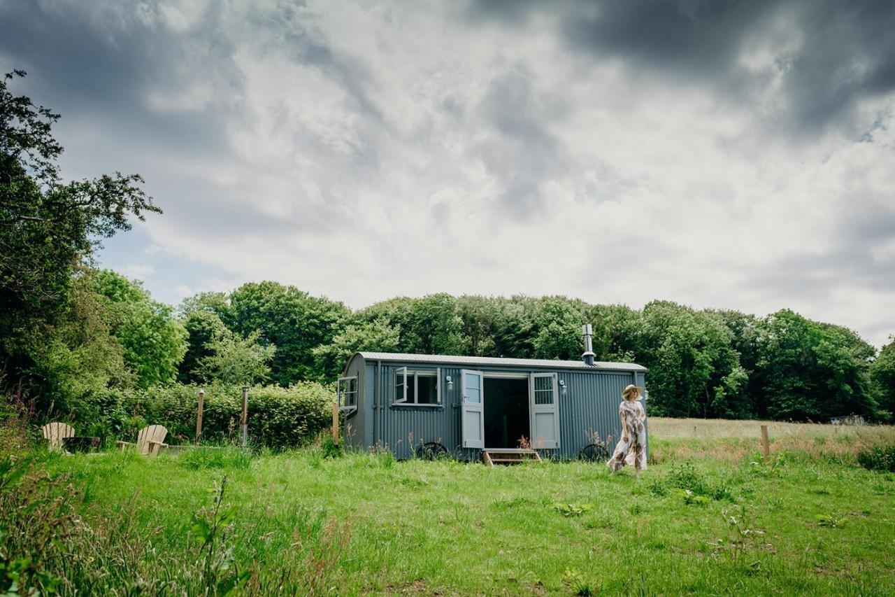 Blatchford Briar - Award Winning Private Shephards Huts With Their Own Secluded Hot Tubs Milton Abbot 外观 照片